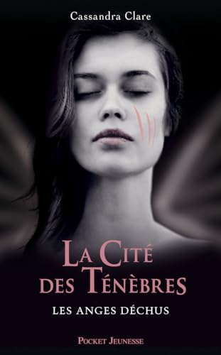 La Cité des Ténèbres - tome 4 Les Anges Déchus ... [French] 2266217992 Book Cover