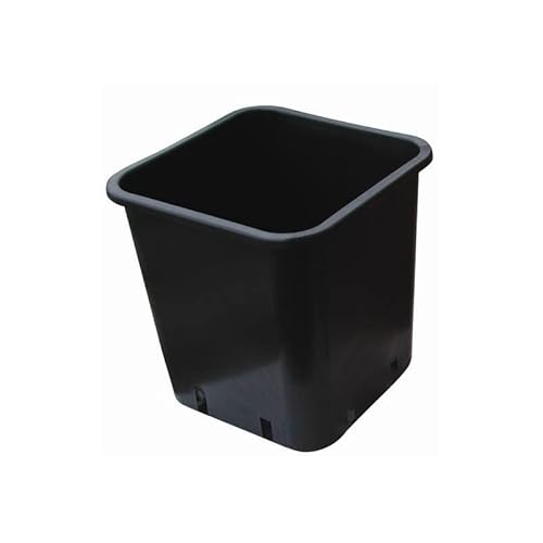 Pot carré noir 13 x 13 x 18 2.5l - Nuova pasquini e bini spa Cover