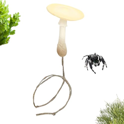 �N������P�[�X �A�N�Z�T���[ - ���̂� ��������,�}�O�l�b�g ঒��� �P�[�W �A�N�Z�T���[ - �J�}�L�� �T�\�� ���h�J�� ������ �y�b�g �ƒ�p �����p