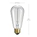 Globe Electric 31321 Vintage Designer Light Bulb, 3 Count (Pack of 1), Cool White