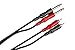 Hosa CPR-202 Stereo Interconnect, Dual 1/4 Inch TS to Dual RCA, 6.5 Feet