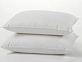 Dream Solutions USA 100% Hungarian White Goose Down Pillow, Luxury 700 Fill Power Queen Size (Pack of 2)