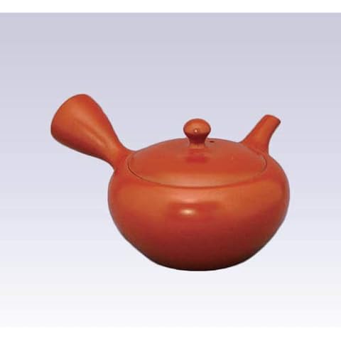Tokyo Matcha Selection - Tokoname Shudei Kyusu teapot - AKIRA - 280cc/ml - Obal ami stainless steel net [Standard ship by SAL: NO Tracking number & Insurance] Cover