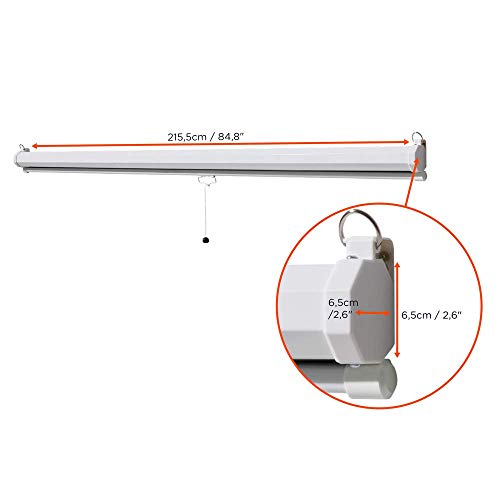 celexon Basic Rollo-Leinwand 100\ | 200x150 cm 4:3 | ausziehbare Full-HD 4K Beamer-Leinwand für Heimkino oder Büro-Präsentationen | Projektionsleinwand geeignet zur Deckenmontage oder Wandmontage