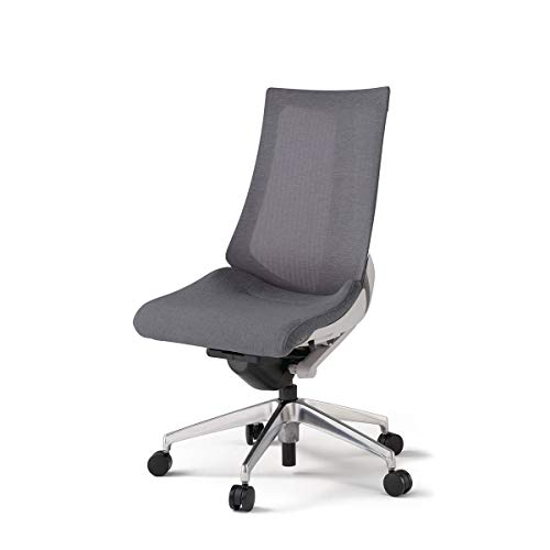 アクトチェア メッシュバック・ランバーサポートなし 肘なし 背JEメッシュ、座SAクロス ナイロン双輪キャスター ベースカラーグレー、アルミ脚 ダークグレーT KG-470JEM-ZNT3