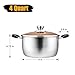 P&P CHEF 4 Quart Pot with Lid, Stainless Steel Stockpot Cooking Stock Pot for Soup, Heat-Proof Double Handles with Visible Lid, Dishwasher Safe & Non Toxic