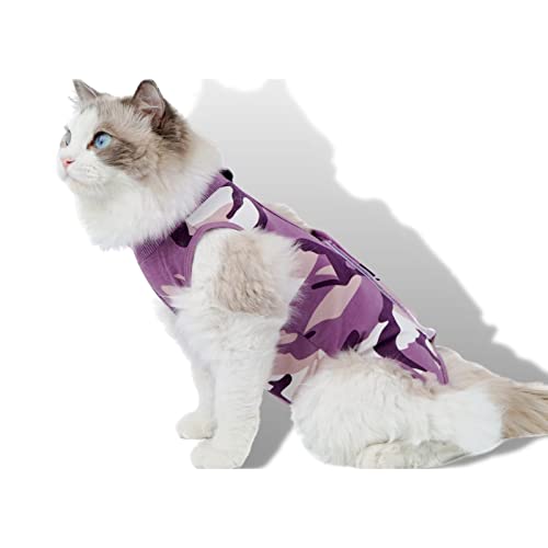 Thundershirt for Cats The 15 best products compared Wild Explained