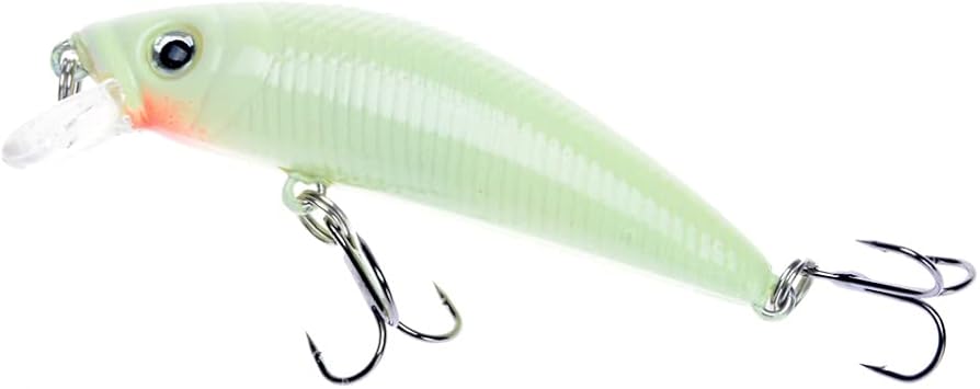 Amazon 釣り用の人工ハードベイト 魚を捕まえるためのルアー ミノー用 クランク付き 釣り用 7cm 8g 1ユニット Target World ルアー
