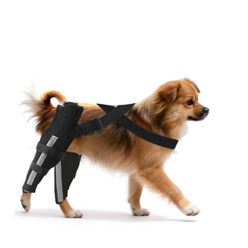 Image of Double Dog Knee Brace for Torn Acl Hind Leg(Extra Small), Double Dog Leg Braces for Back Leg for Support, Acl Brace for Dogs, Built-In Hard Metal Spring Support,Adjustable Strap,Night Reflective Strip