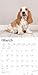 Basset Hounds | 2025 12 x 24 Inch Monthly Square Wall Calendar | Plastic-Free | BrownTrout | Animals Dog Breeds