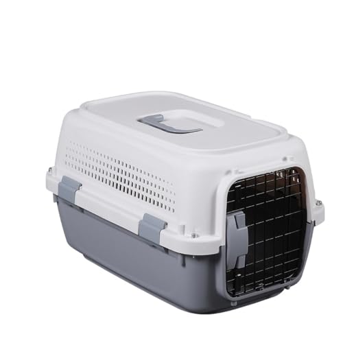 Sailozai ybg Vt {GC ۍq ֌g ԍڃP[W s@a  Lqp{bNX (T[tȂyX^[iCgO[z,+A+q|)