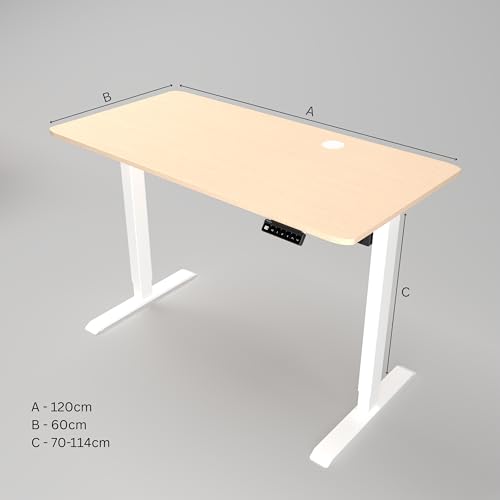 Image of Velocity Electric Height Adjustable Desk with one Piece Top | 80 Kg Weight Capacity | 5 Year Warranty | Sit-Stand Ergonomic Table | 3 Memory Preset (Ork, Table top - 120cm)