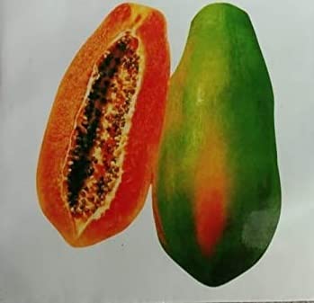 HERBALISM Papaya papaw pawpaw Carica papaya Red Lady Fruit Hybrid Seeds (3gm)