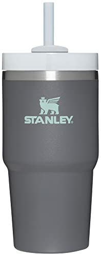 Image of STANLEY Quencher H2.0 Tumbler with Straw 20 oz | Flowstate 3-Position Lid | Cup Holder Compatible for Travel | Insulated Stainless Steel Cup | BPA-Free | Charcoal