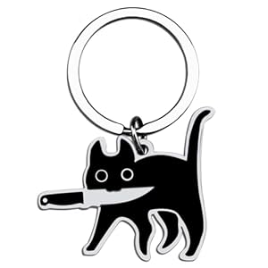 Aisity Cat Lover Gifts for Women Men Black Ca...