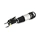 ArnottEurope Arnott AS-2786 Luftstrebe vorne links