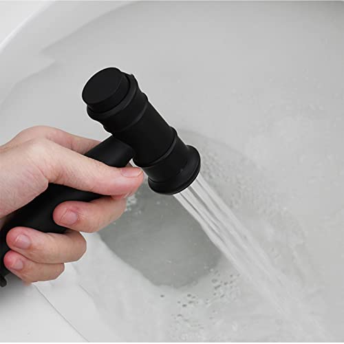 Rociador de bidé para inodoro解决冷水刺骨, 纯铜冷热双温黑色喷枪 5