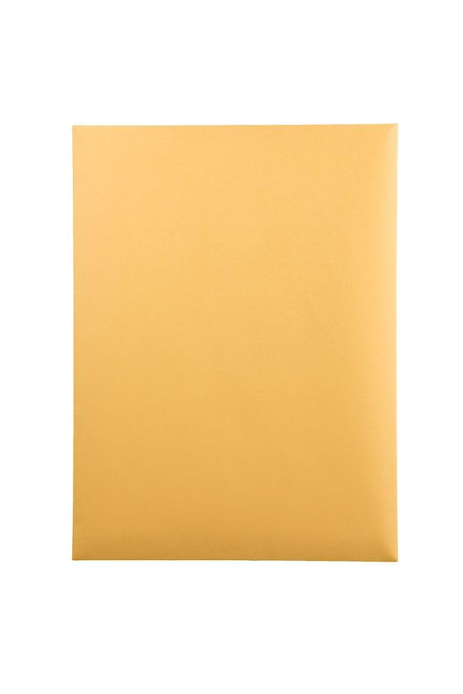 Quality Park 41467 Lot de 100 enveloppes de catalogue de qualité pour parc lourd/gommées, 9 x 12, 28 lb, Kraft, 100/boîte