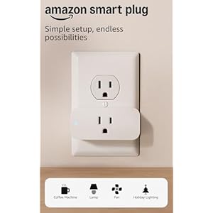 Amazon Smart Plug, Works with Alexa, Simple Setup, Endless Possibilities