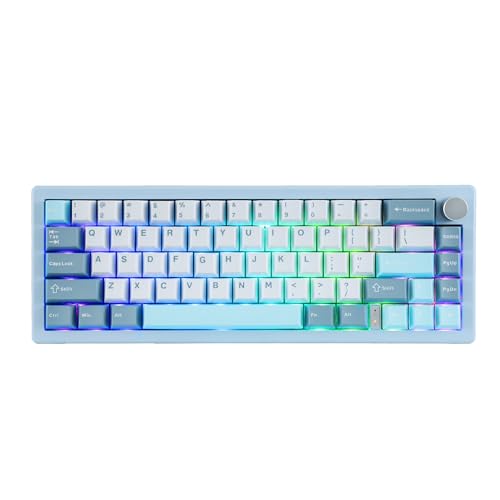 BOYI GMK67 65% Mechanical Keyboard Hot-Swappable Bluetooth5.0/2.4G/Type-C Tri-Mode Wireless RGB Gasket Mounted Customized South-Facing LED Gaming Keyboard(Blue)