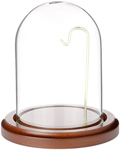 Plymor 3" x 4" Watch/Ornament Glass Display Dome Cloche (Walnut MDF Base & Brass Wire)