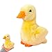 Siwan Peluche ripiene di Anatra Gialla - Bambola di Peluche con Pulcino di Peluche | Baby Anatra e Pulcino Peluche Peluche, Regalo Giocattolo Super Morbido da Abbracciare per Bambini, Giallo/Bianco