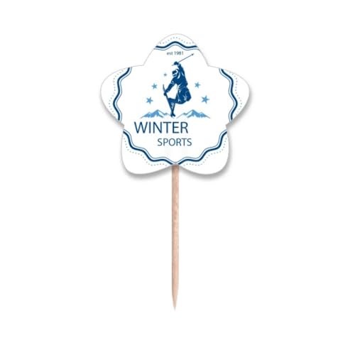 Piques à cupcakes étoile costume de ski pour déco gâteau anniversaire thème sport d'hiver