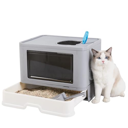 LpgC{ h[^o 傫 S LȂ ^ юUh~ tJo[ ӂt   ̂t ܂肽ݎ ォLgC