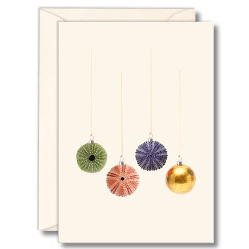 Image of Earth Sky + Water - Sea Urchin Christmas Notecard Set - 8 Blank Cards with Envelopes