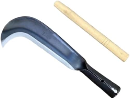 GGSYHHA vdln݌vS|oEd茓p@\늙Lv/h/|pdx|(01&30cm̖ؐnh)