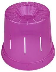 3" Slotted Clear Orchid Pots - 6 Pack (1, Wild Orchid)