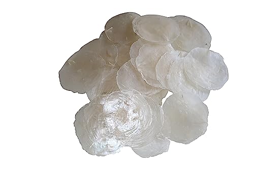 RiloStore Pack of 25 Capiz Shell Discs, Natural White 7-11 cm, Table/Wedding Name Cards, Maritime Decoration