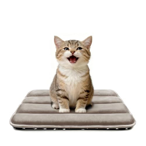 pobopobo ���p�N���[�g�p�b�h�A�E���g���\�t�g&����~�ߌ������}�b�g�A�������N���[�g&�h�b�O�P�[�W�ɂ�������t�B�b�g�A���^����^���p�̐􂦂鋏�S�n�̗ǂ��x�b�h(���C�g�u���E���AXS(45.7 cmx30.5 cmx1.5�C���`)