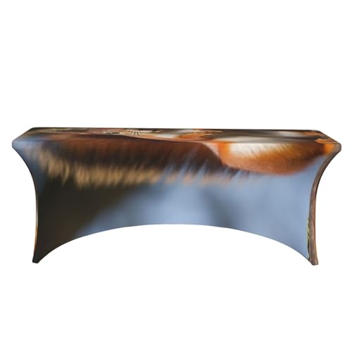 Nappe de table rectangulaire infroissable élasthanne pour fête d'anniversaire - 3