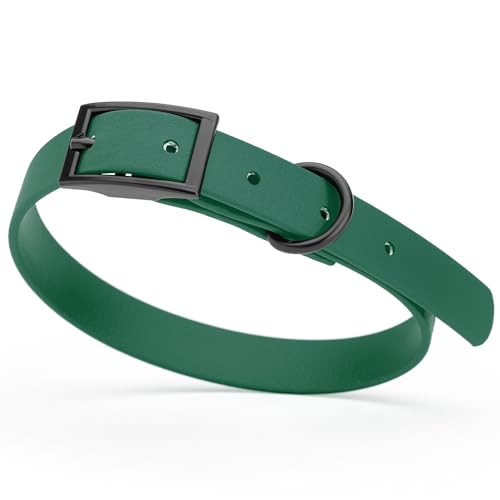 Image of Dogline Biothane Waterproof Dog Collar Strong Coated Nylon Webbing with Black Hardware Odor- Proof for Easy Care Easy to Clean High Performance Fits Small Medium or Large Dogs, Hunter Green