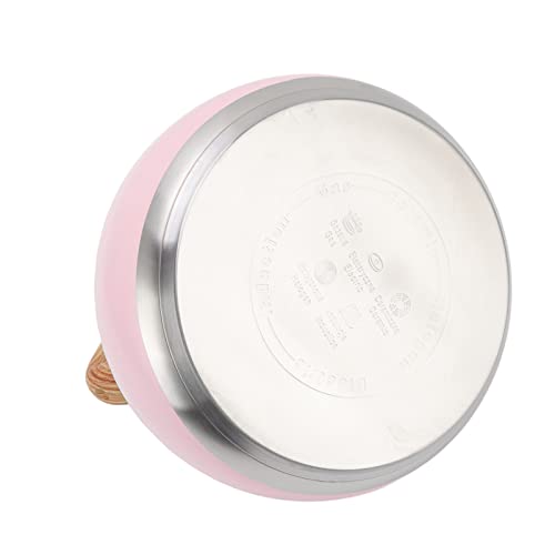 Chaleira de assobio de fogão, chaleira de indução de chaleira de assobio, fogão de chaleira 3L, chal