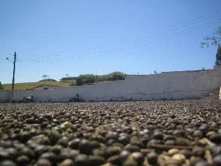 R[q[ 1kg uW TgAgjI VR s[x[ R