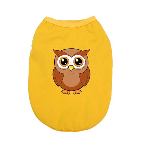 ZSDGBZ ybg  tVc Ȑ t _炩 Vc  L  킢 ^ ^ hbOEFA m  CG[ q `  Eѕی U 5XL ₩ o