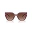 Mulberry/Brown Gradient Polarized