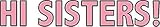 MAGNET James Charles' HI Sisters! Magnetic Car Sticker Decal Refrigerator Metal Magnet Vinyl 5'