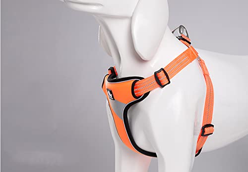 Truelove Dog Harness Anti Pull Gilet di Sicurezza