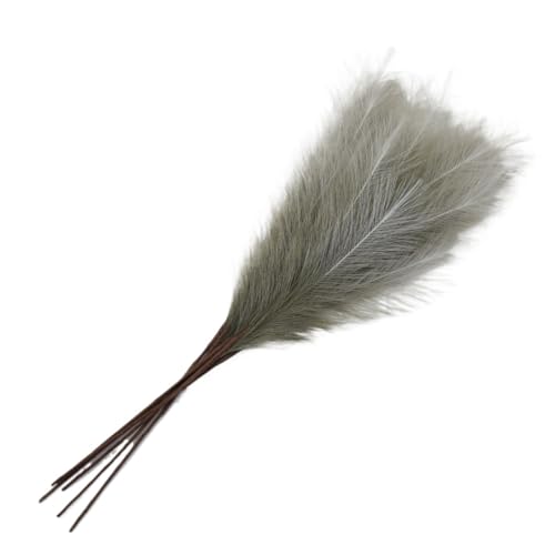 Ramo de Hierba Pampas Natural 42cm 1 unidad miniatura 6