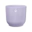 Soft Lilac