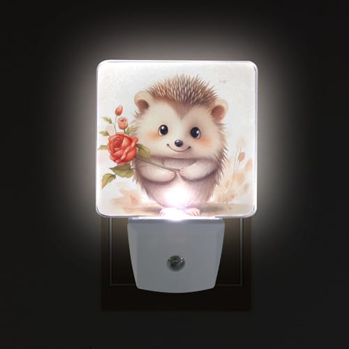 Image of Hedgehog Cute Night Lights 2 Pack Plug-in Wall Led Nightlight Auto Dusk-to-Dawn Sensor Lamps for Bedroom Kitchen Bathroom