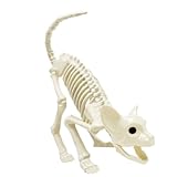 LUKBERA Cat Halloween Decoration, Animal Skeleton with Posable Joints for Graveyard Scene and Haunted Houses