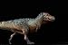 WLNTDOLA 1:35 Scale Tyrannosaurus Rex Figure PVC Animal Model (Blue)