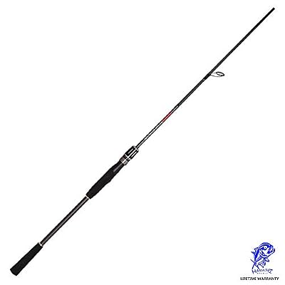 Hamachi 2020 Duel Nano JDM