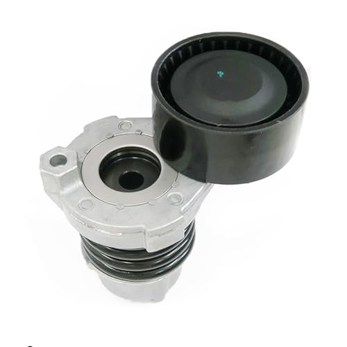 SKF VKM 36138 galet enrouleur multi-V pour remplacement distribution