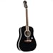 Epiphone DR-100 Acoustic Guitar (Ebony)