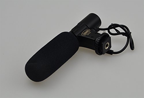 Videocamera digitale camcorder con microfono